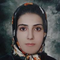 بهناز سلطان محمدی